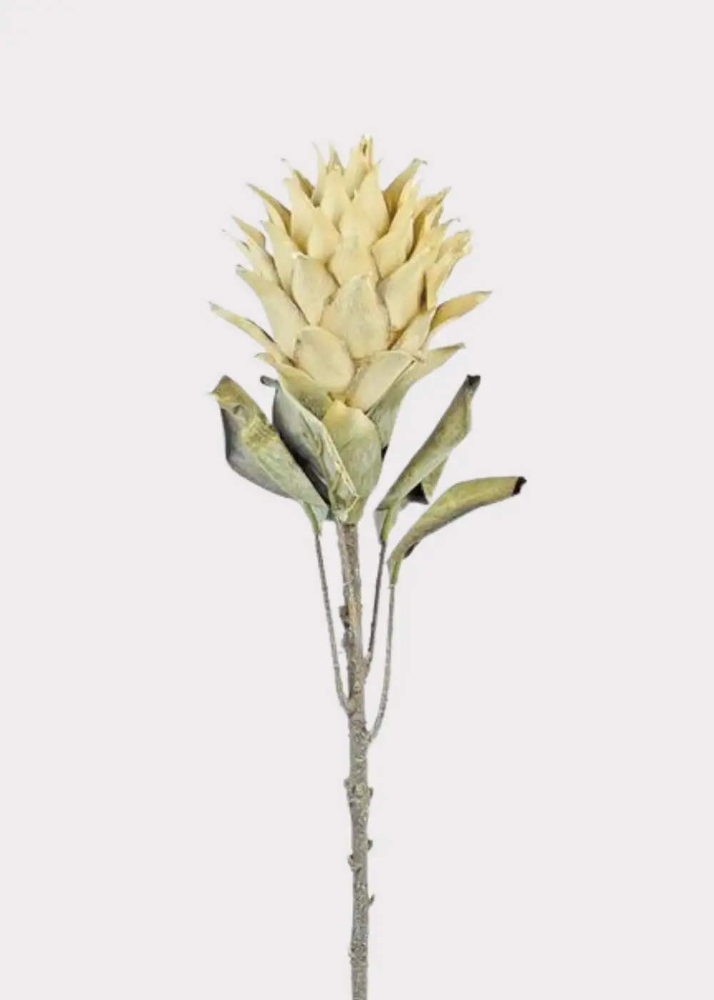 Artificial Protea Tropical Flower Stem