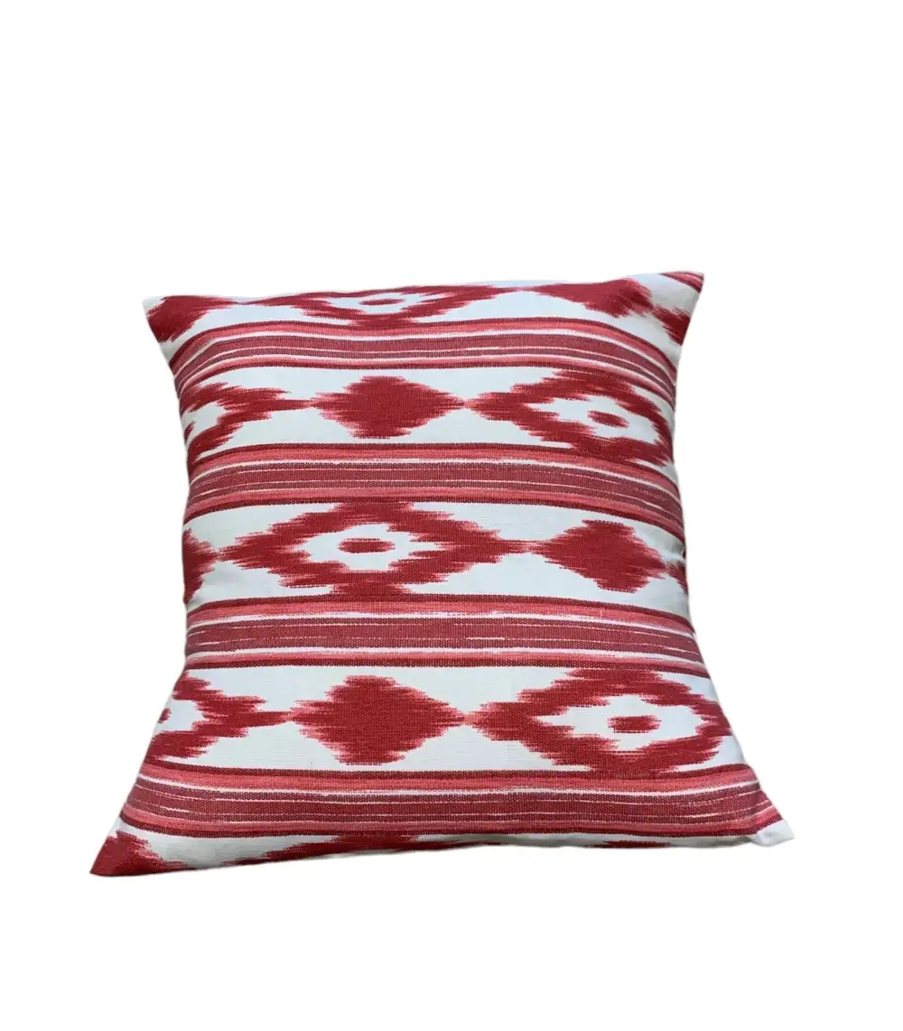 Assorted Cotton Throw Pillow