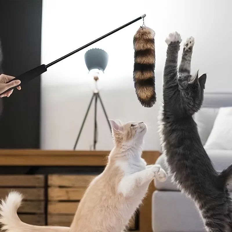 Cat Raccoon Tail Teaser Toy