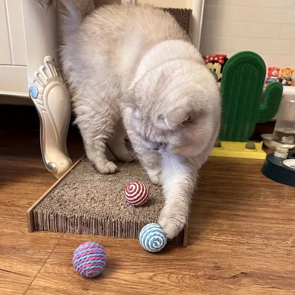 6 Pcs Cat Rope Ball Chew Toy