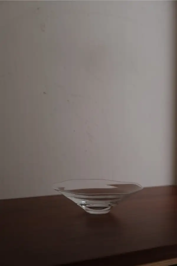 Shallow Bowl Kitchen Tableware Piece