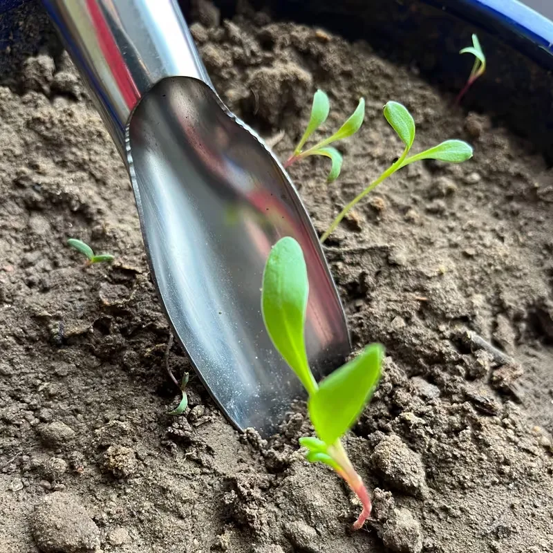 Stainless Steel Garden Trowel