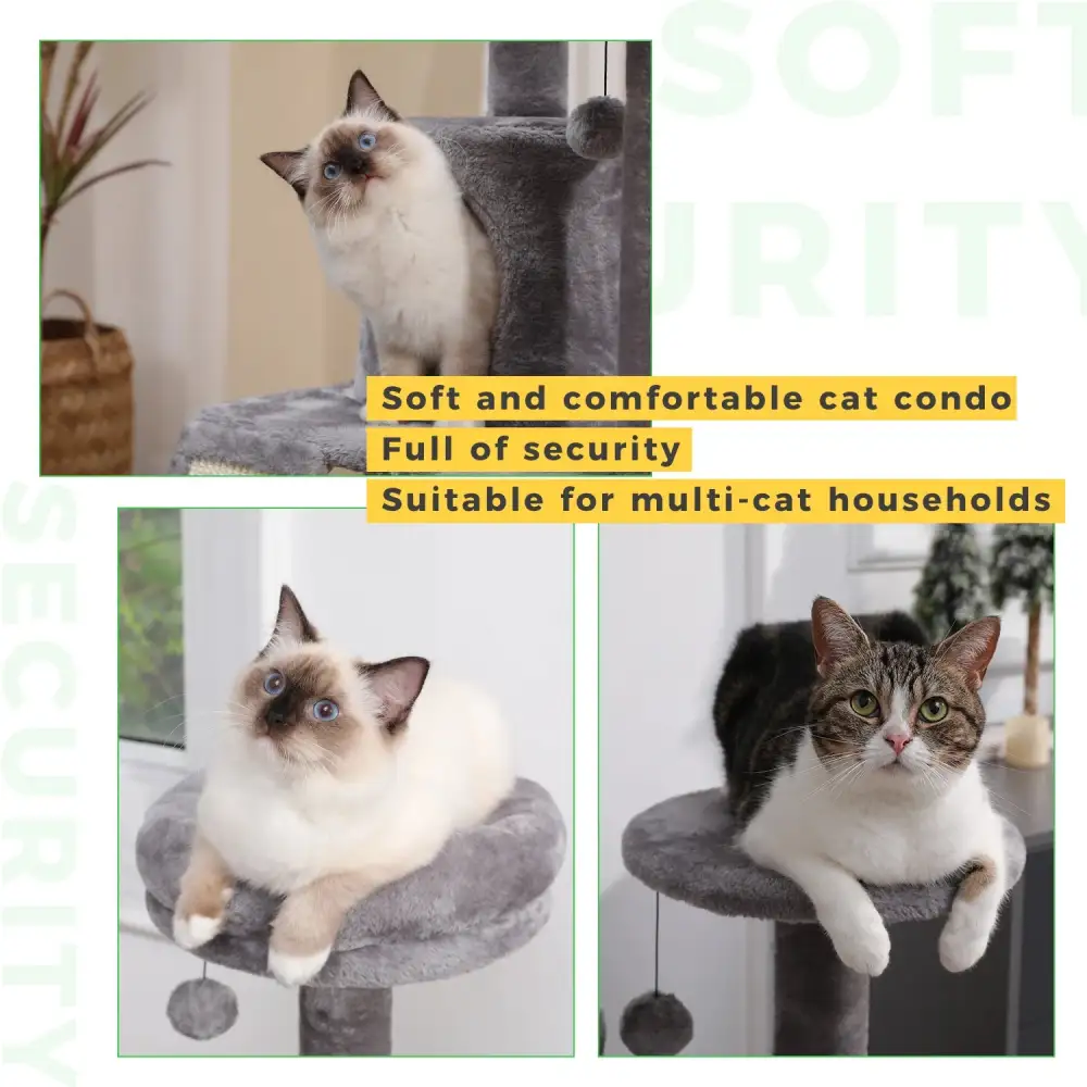 Indoor Pet Activity Tower Gentle On Claws.