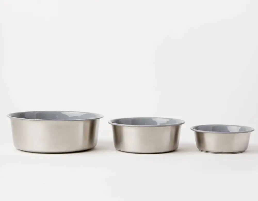 Slow Feeding Pet Bowl Style