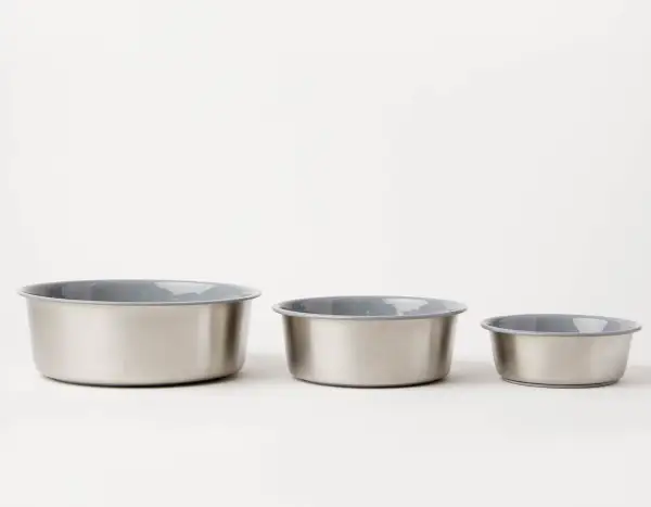 Slow Feeding Pet Bowl Style