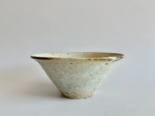 Glazed  Noodle Bowl