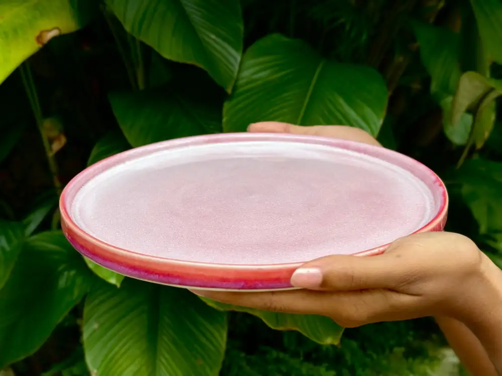 Raised Edge Table Dinner Plate