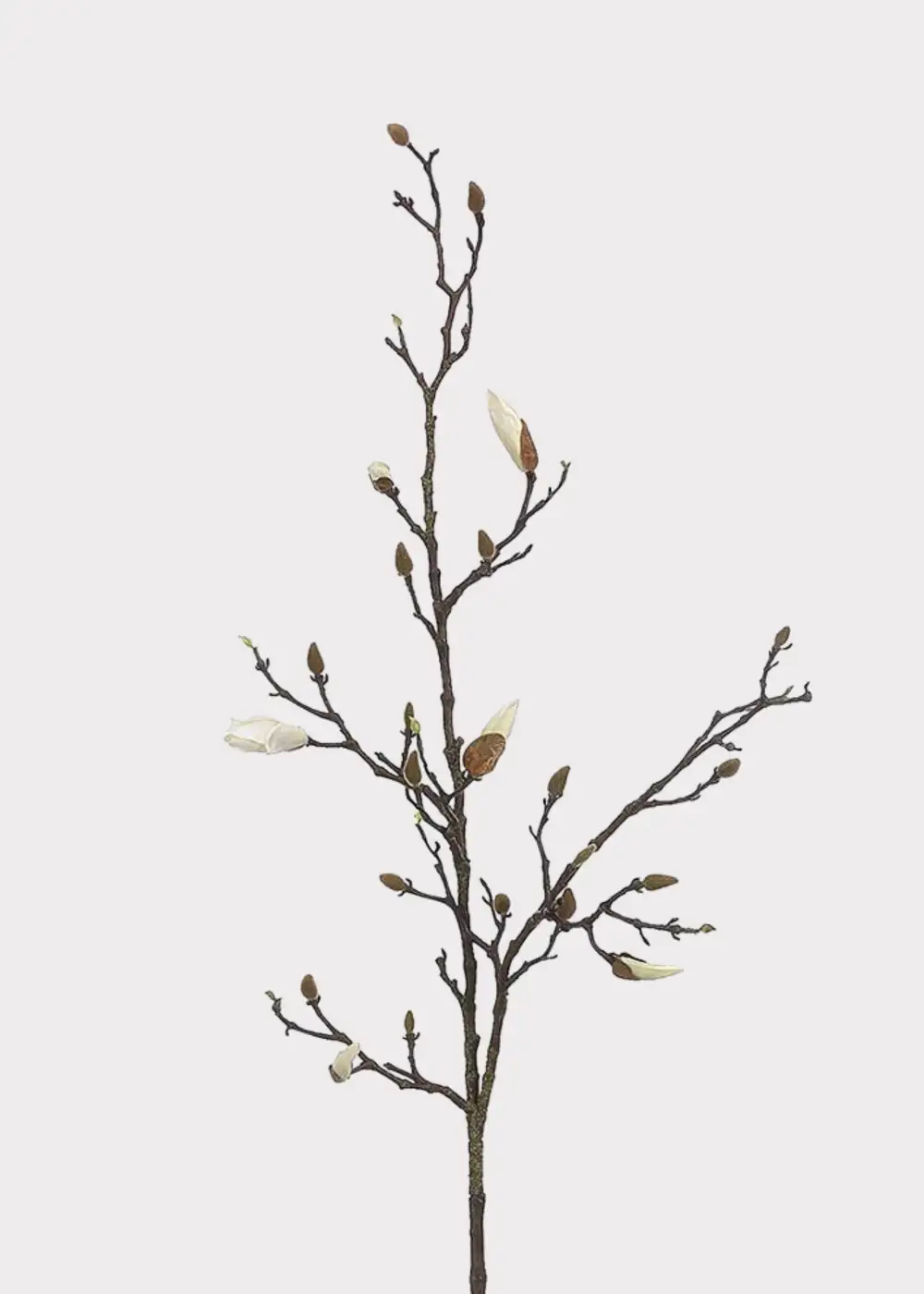 Artificial Budding Magnolia Branch