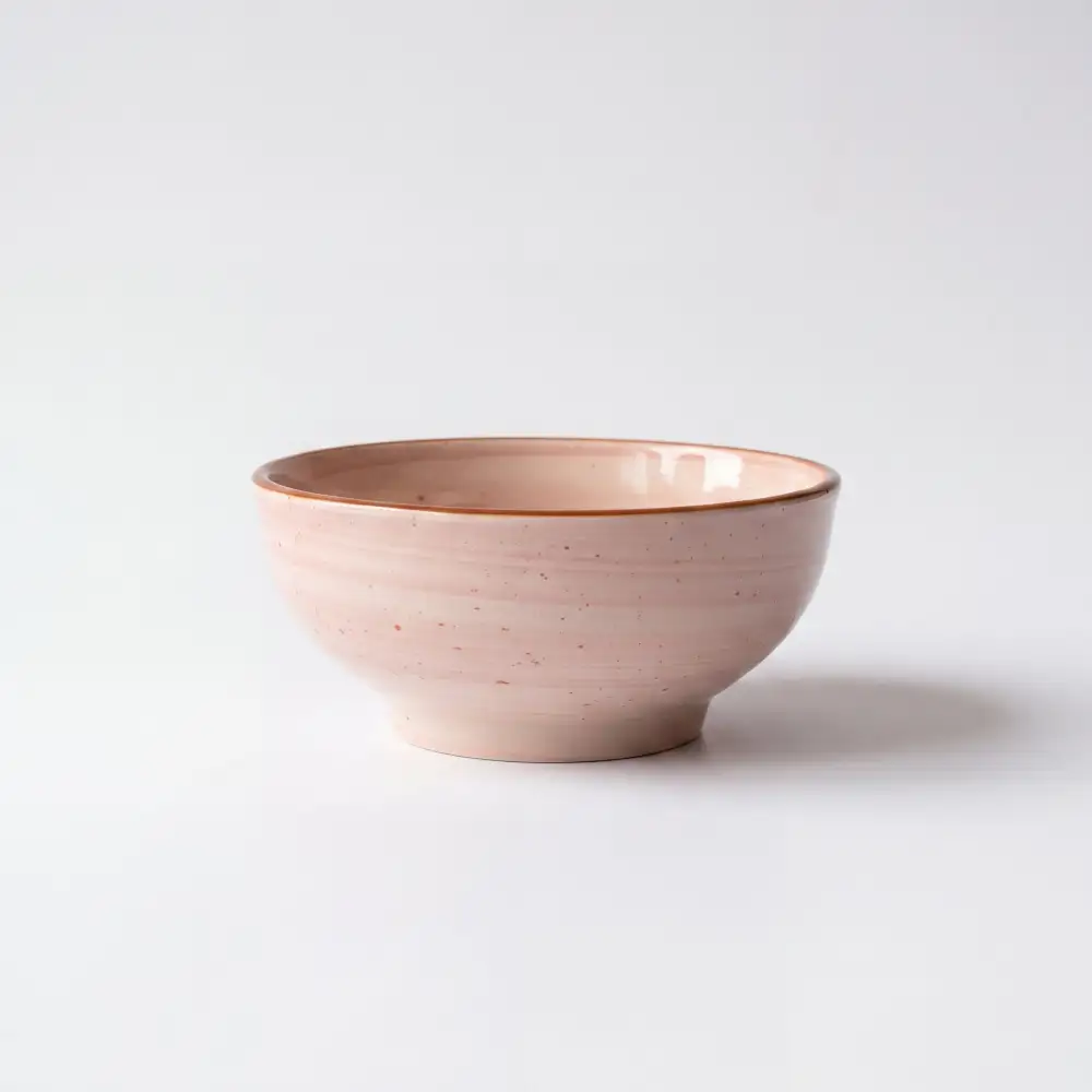 Contemporary Table Round Ceramic Dining Bowl