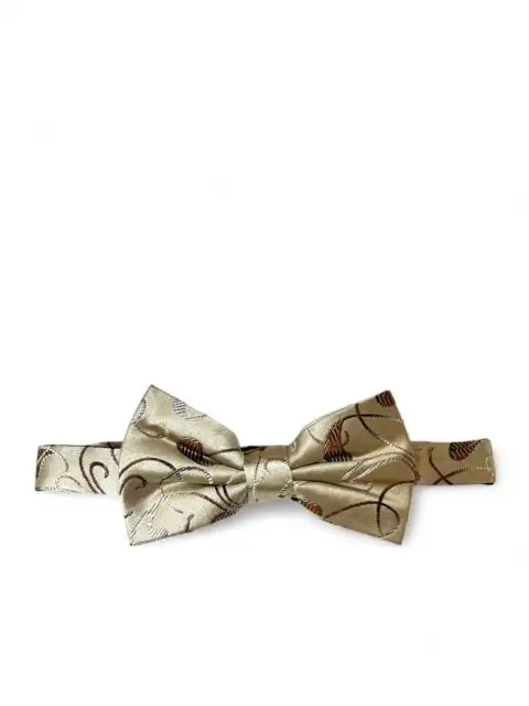Tasteful Silk Bow Tie Set