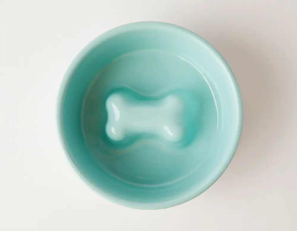 Non Slip Pet Feeding Bowl
