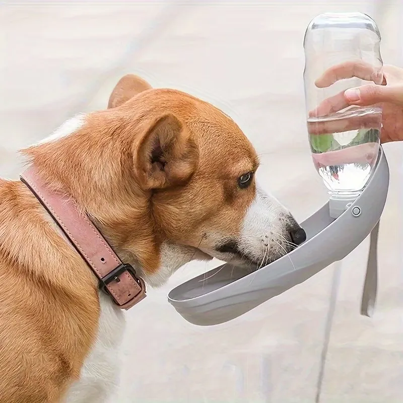 Portable Dog Water Bowl