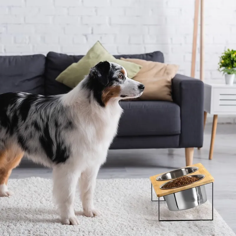 Elevated Double Pet Bowl
