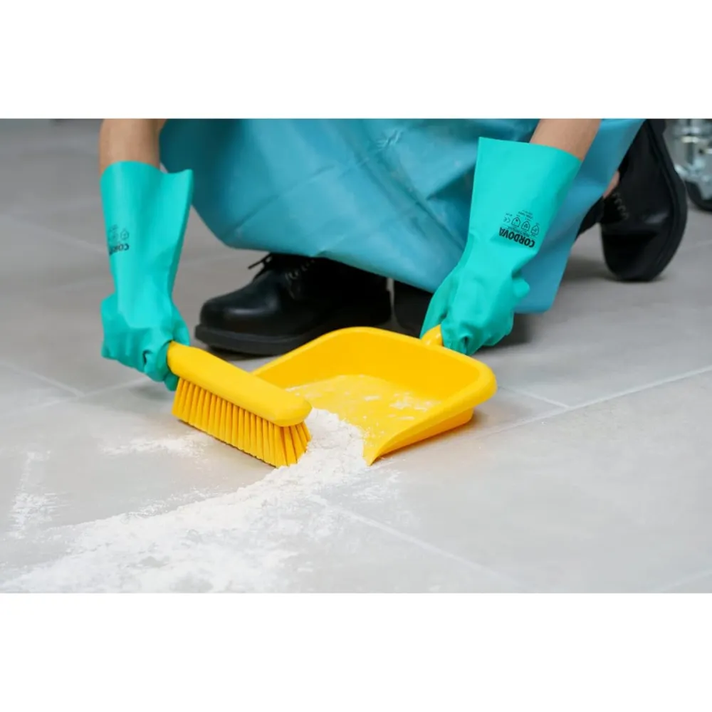 Household Lightweight Plastic Dustpan