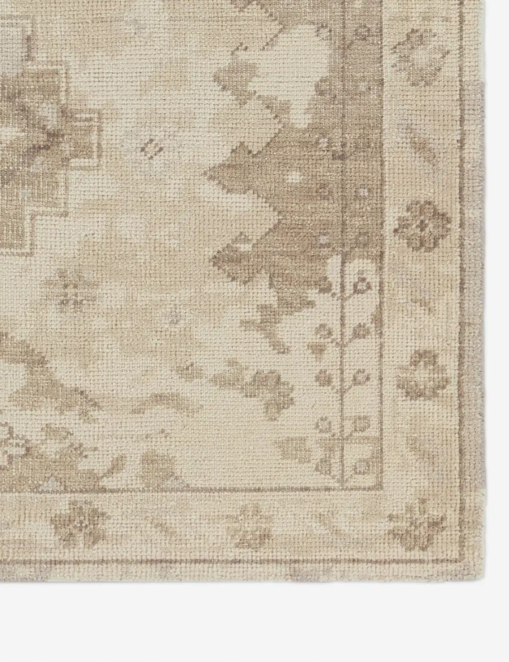 Soft Traditional Motif Hand Knotted Wool Area Rug