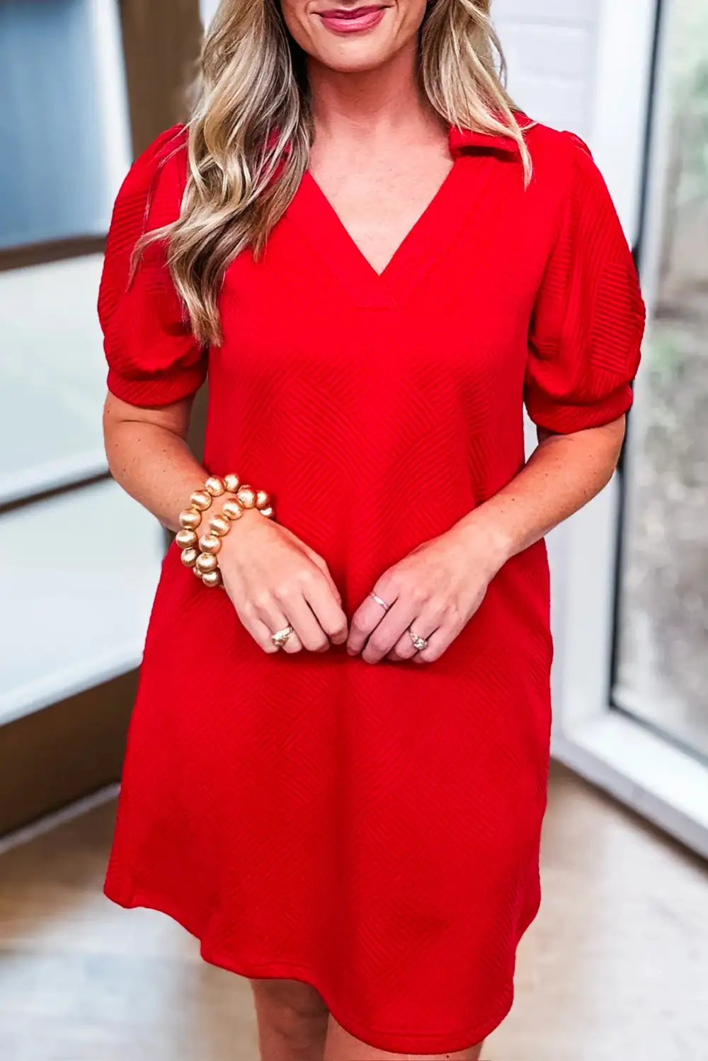 Textured V-Neck Collared Mini Dress
