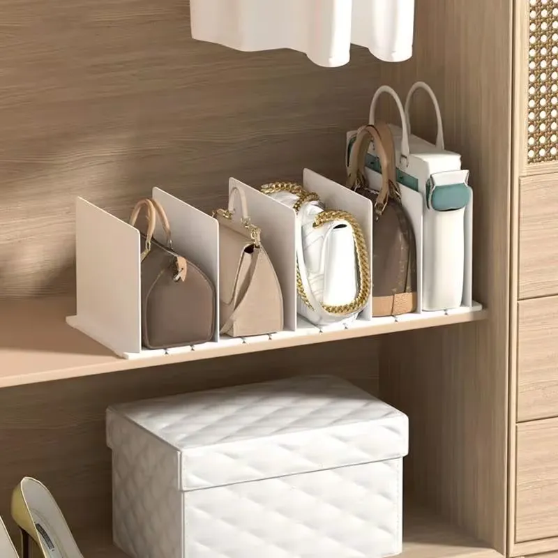 Closet Bag Organizer