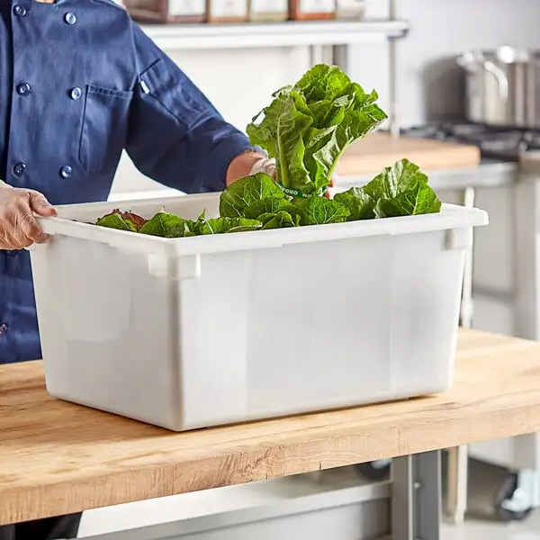 Compact Polyethylene Food Storage Box