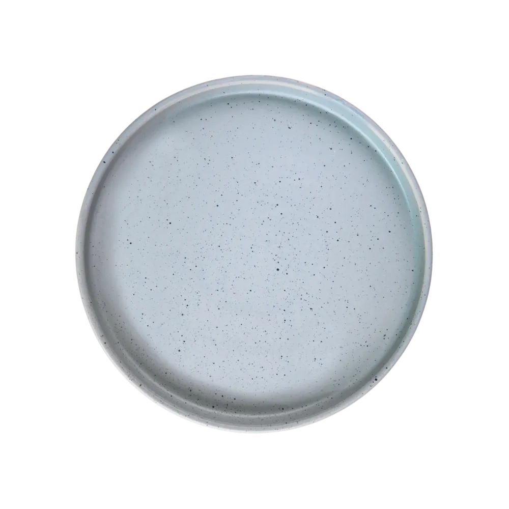Serving Dining Ceramic Dining Plate