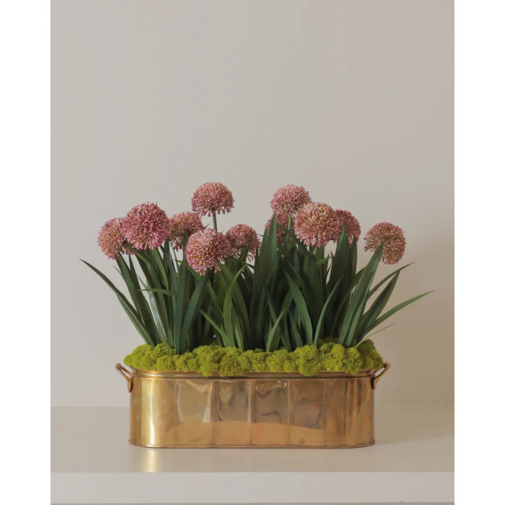 Brass Oval Allium Planter
