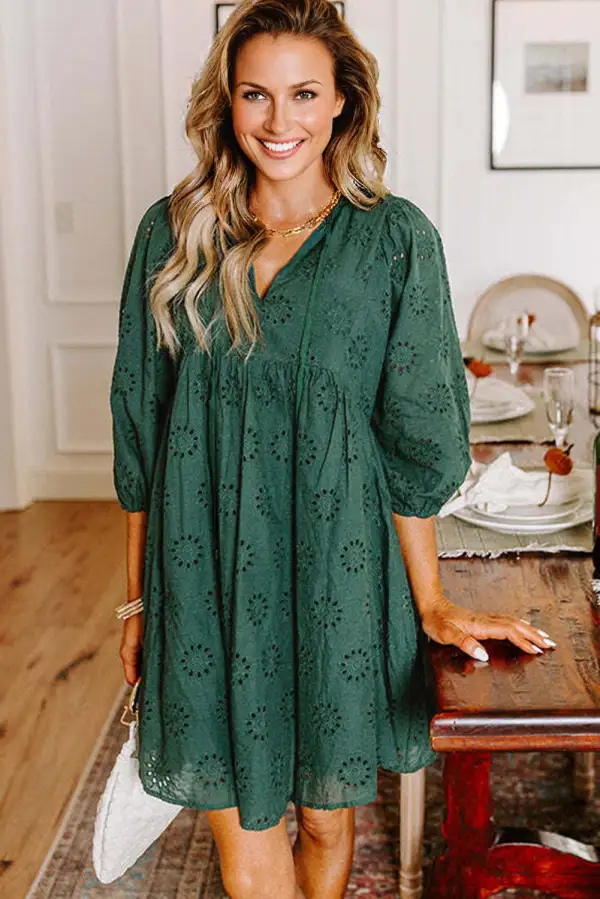 Blackish Embroidered Eyelet Pattern Puffy Sleeve Swing Mini Dress