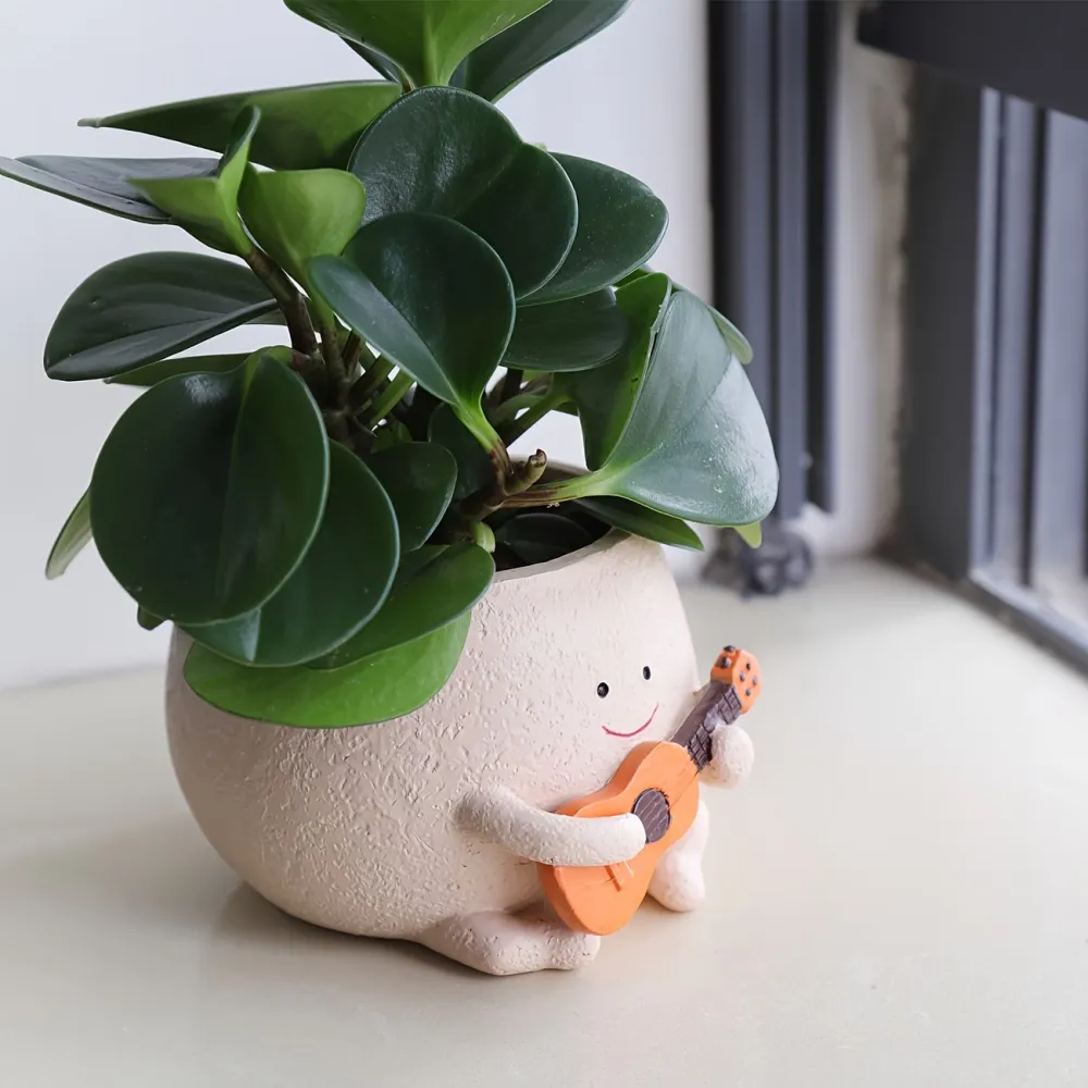 Cute Character Plant Pot
