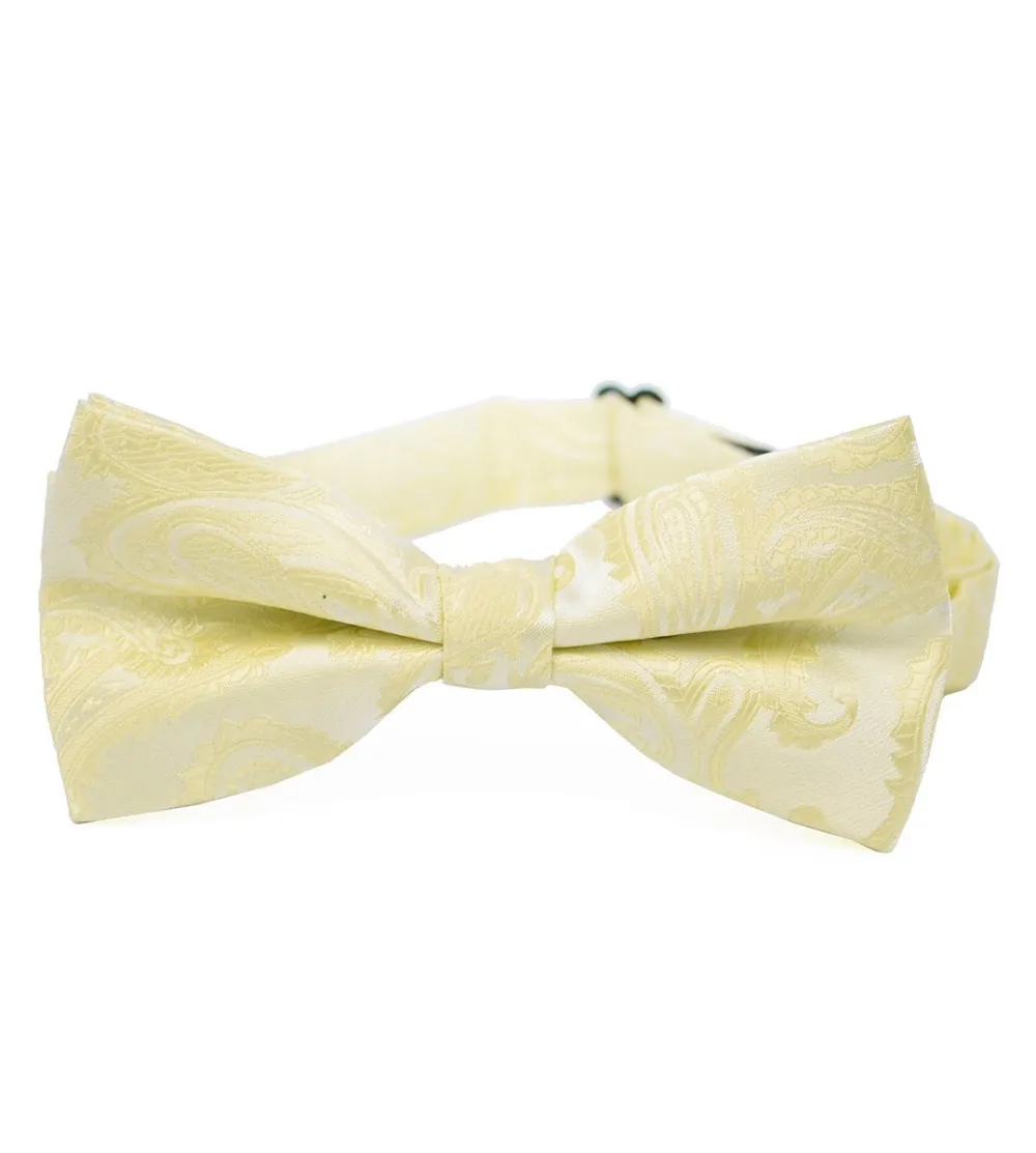 Artful Paisley Polyester Bow Tie