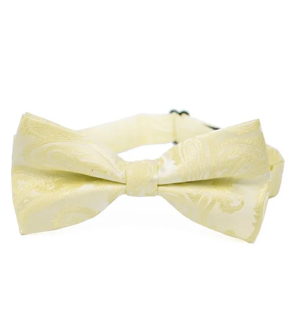 Artful Paisley Polyester Bow Tie