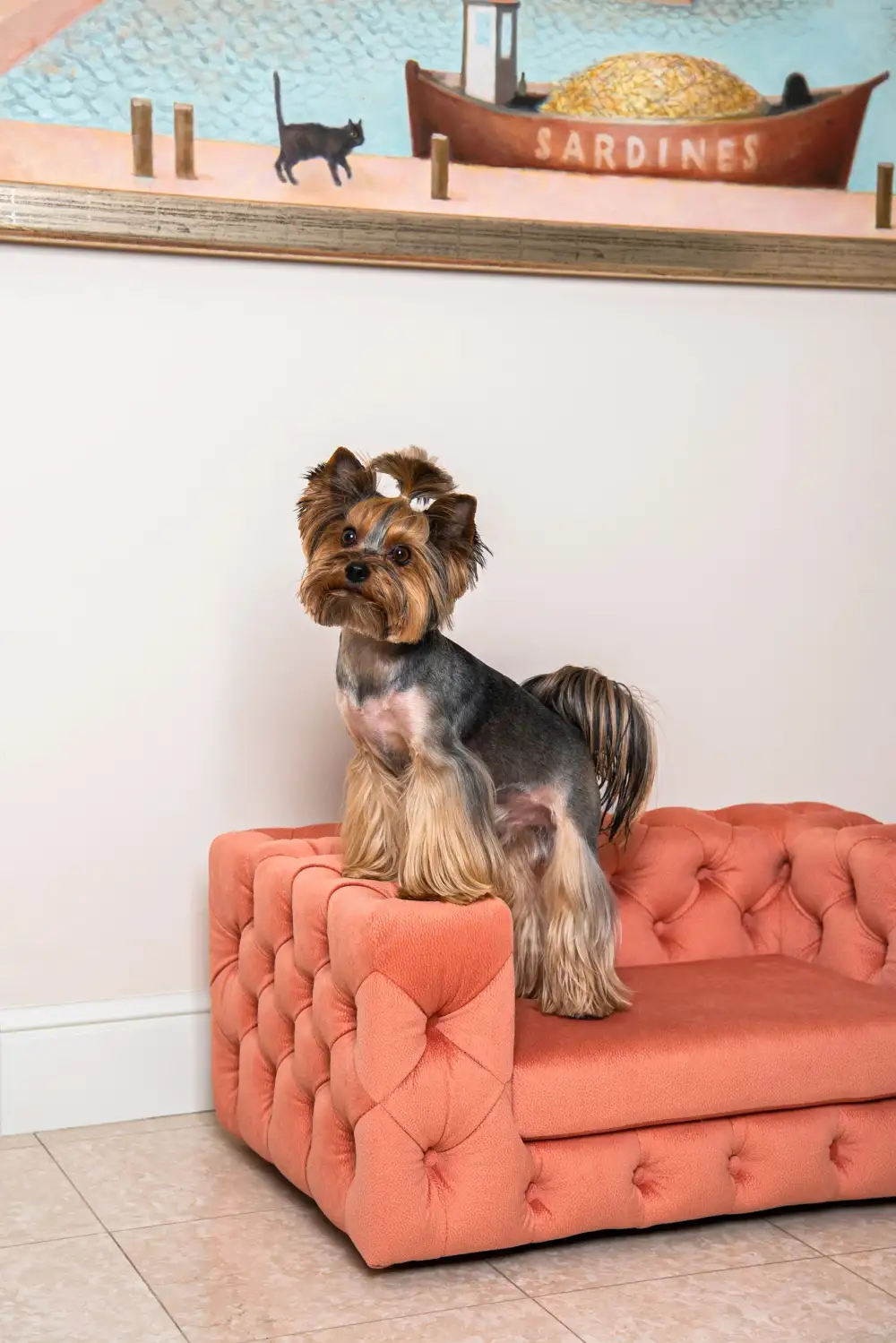 Elegant Pet Lounge Sofa