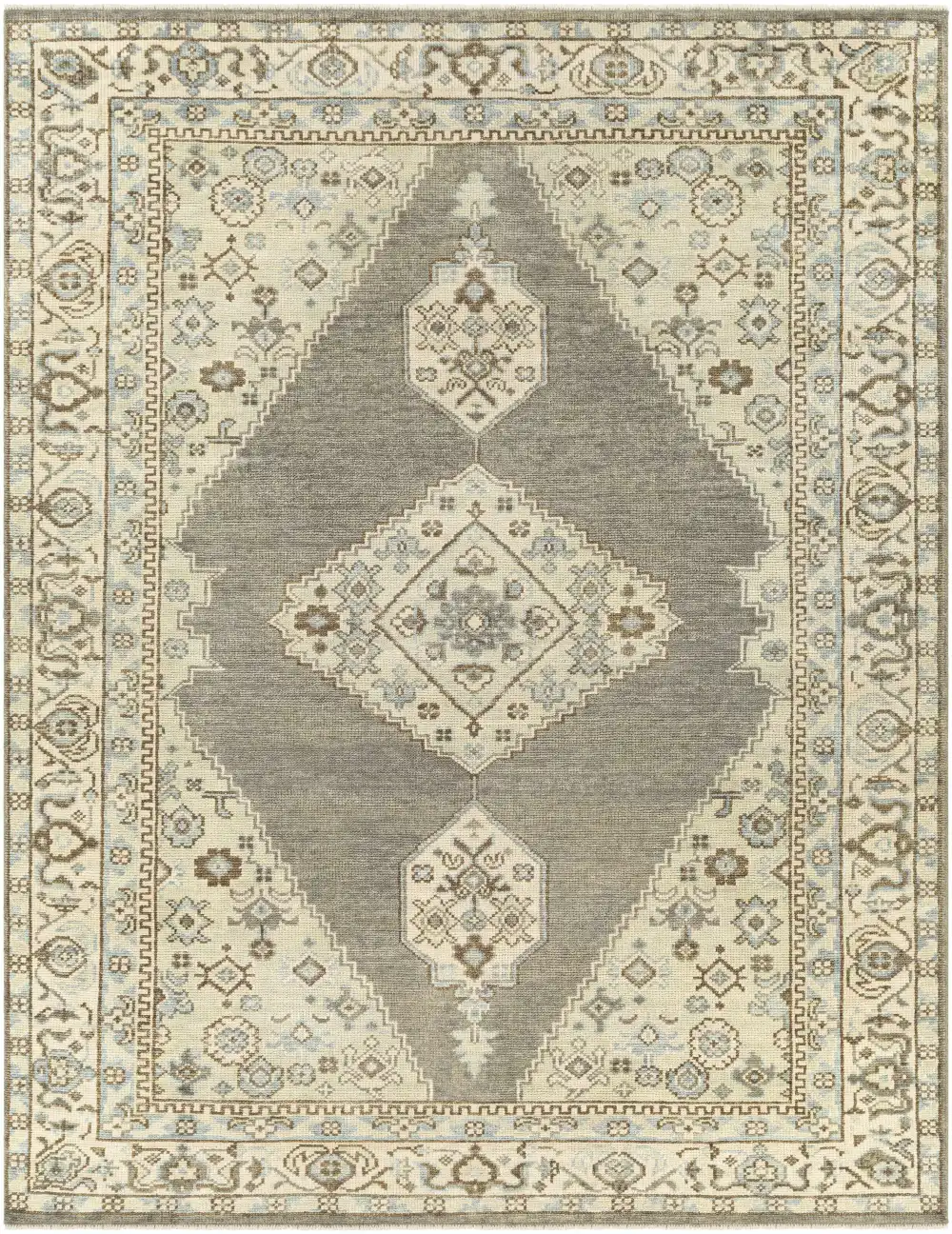 Refined Traditional Hand Knotted Wool Area Rug Room Floor Accent