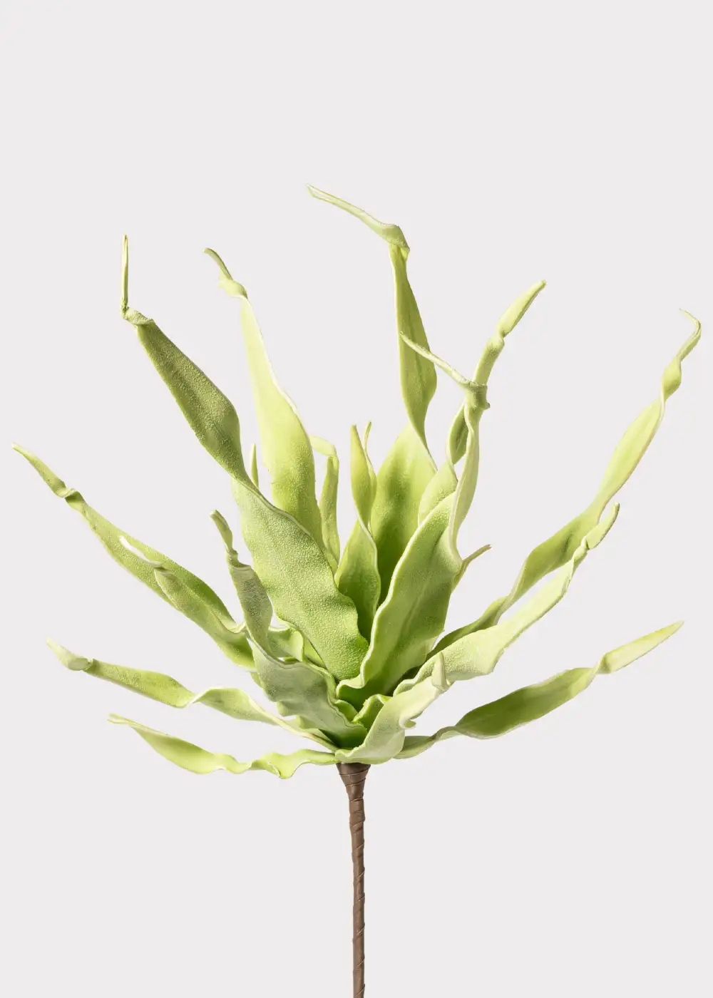 Artificial Desert Succulent Spiral Dracaena Botanical Stem