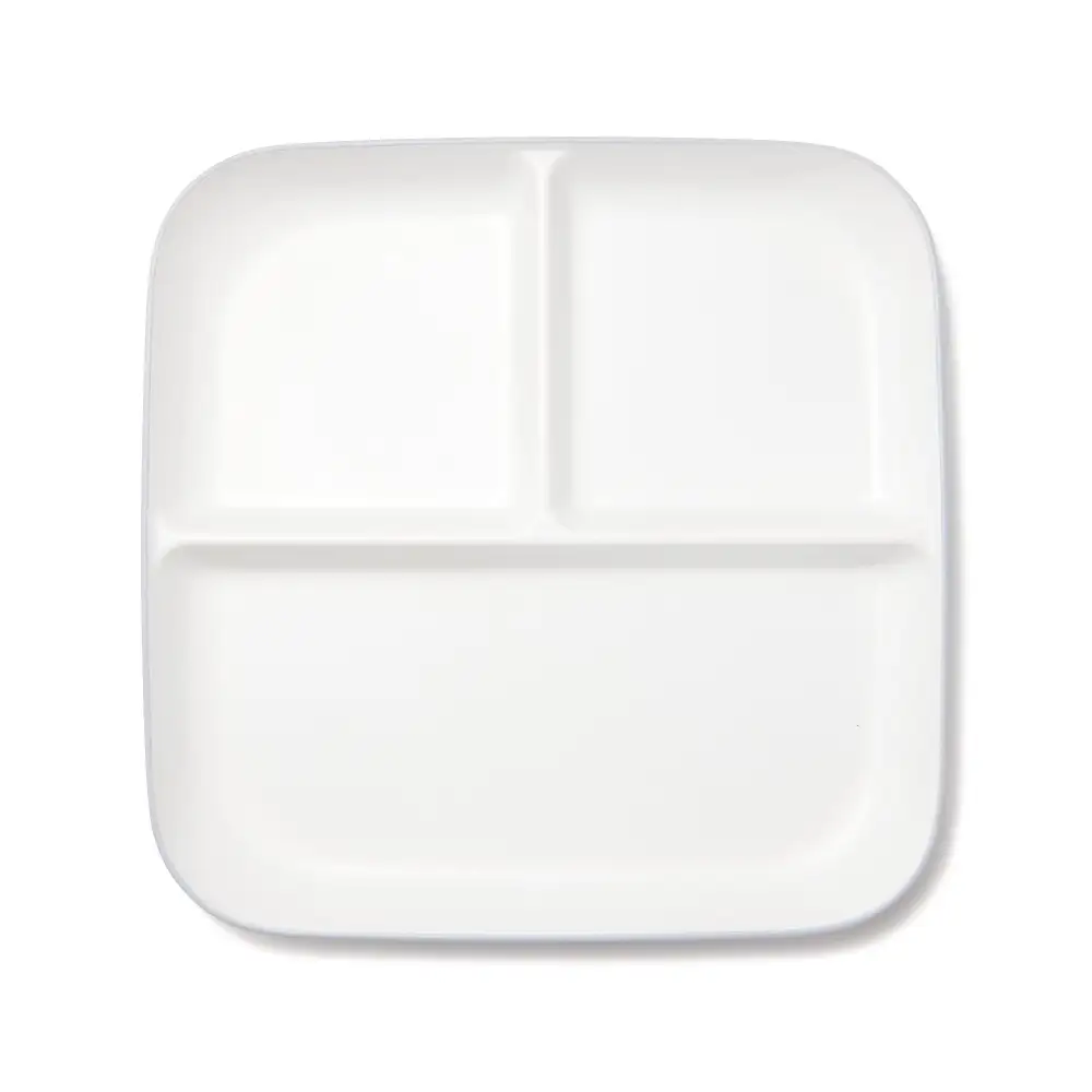 Divided Square Plate for Everyday Dining
