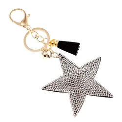 Distinctive Accessory Keychain