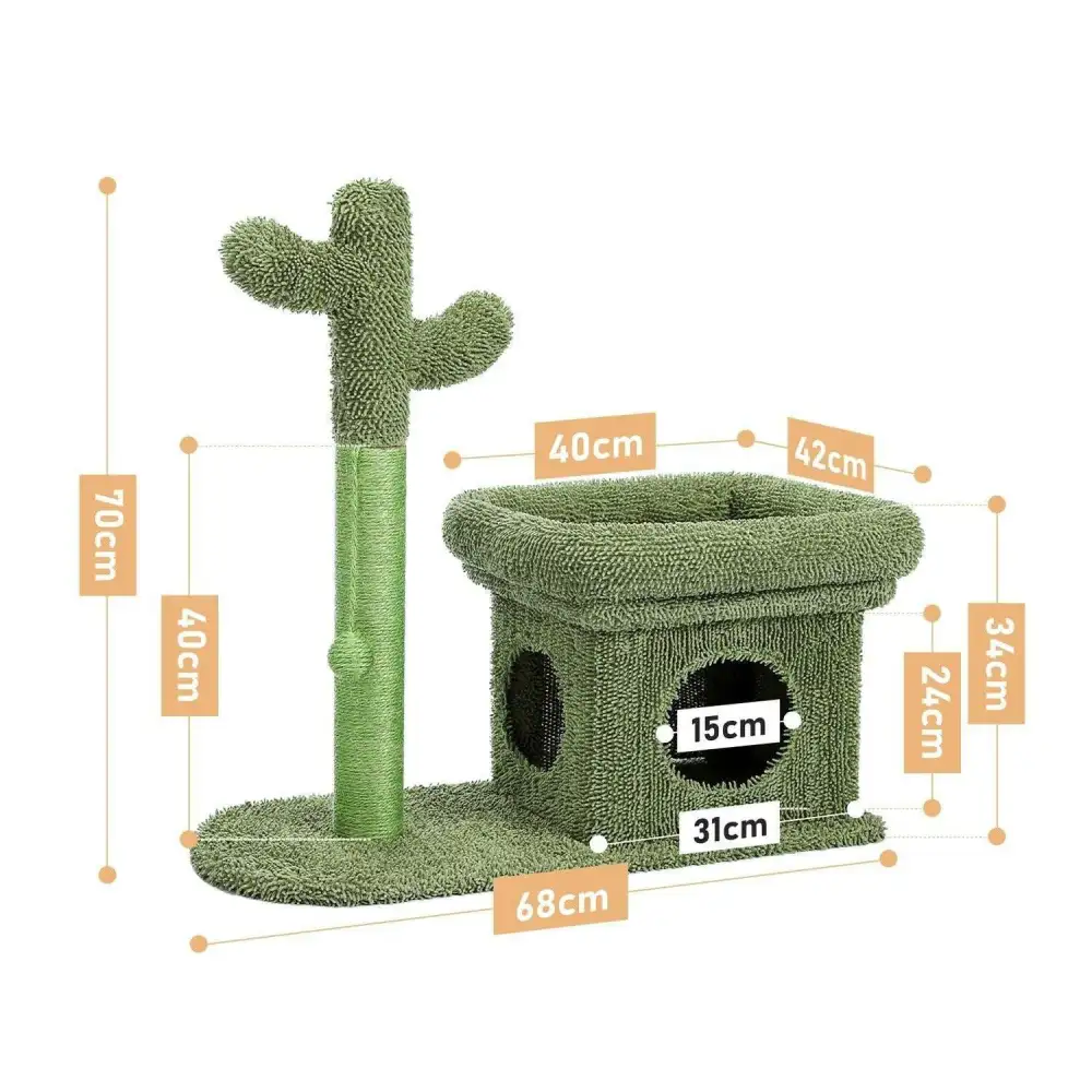 Cactus Cat Scratching Post