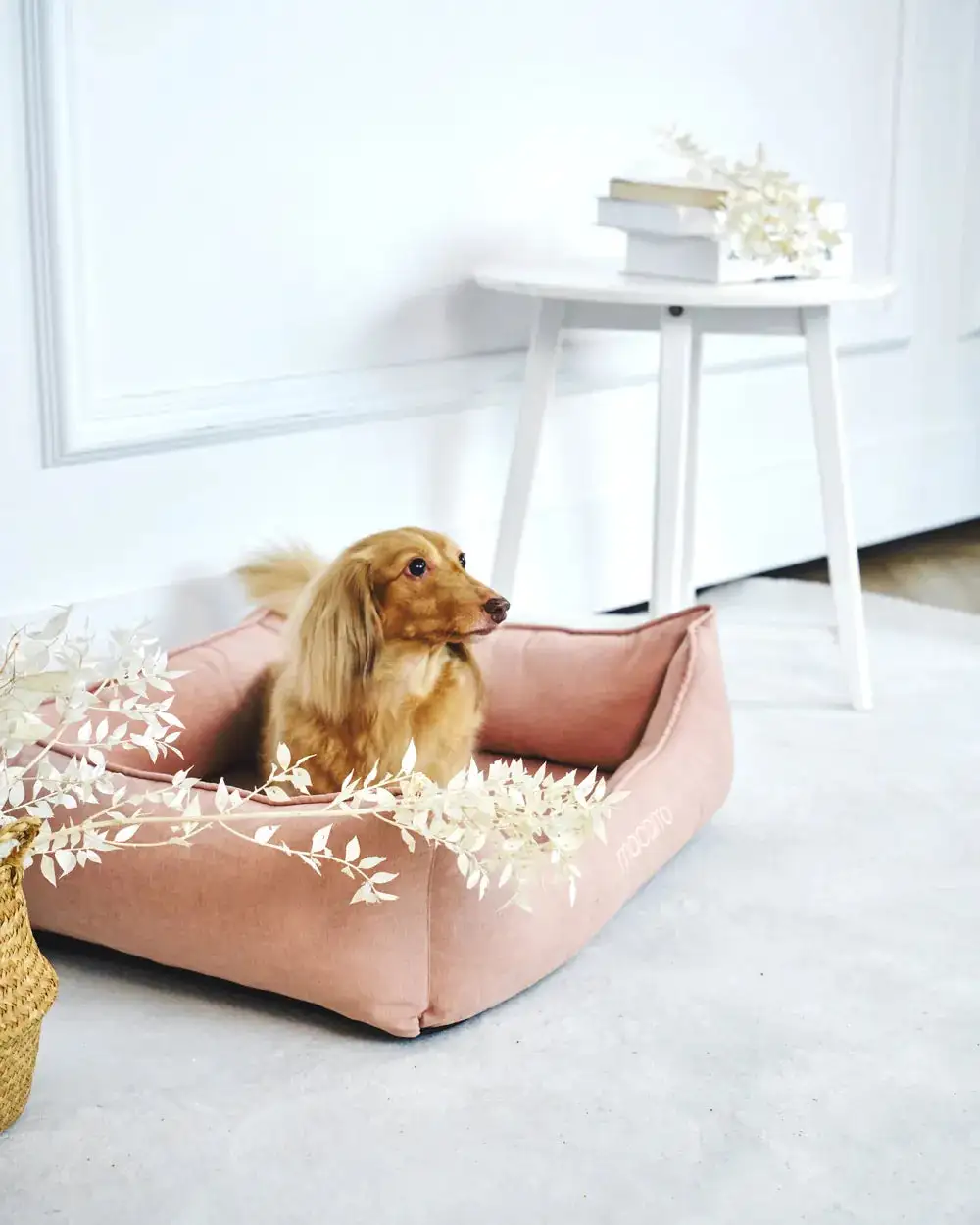 Soft Touch Pet Resting Bed