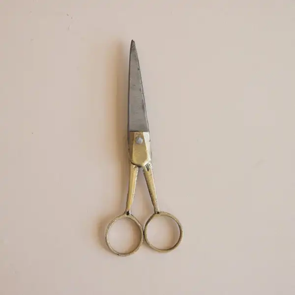 Brass Handle Utility Scissors