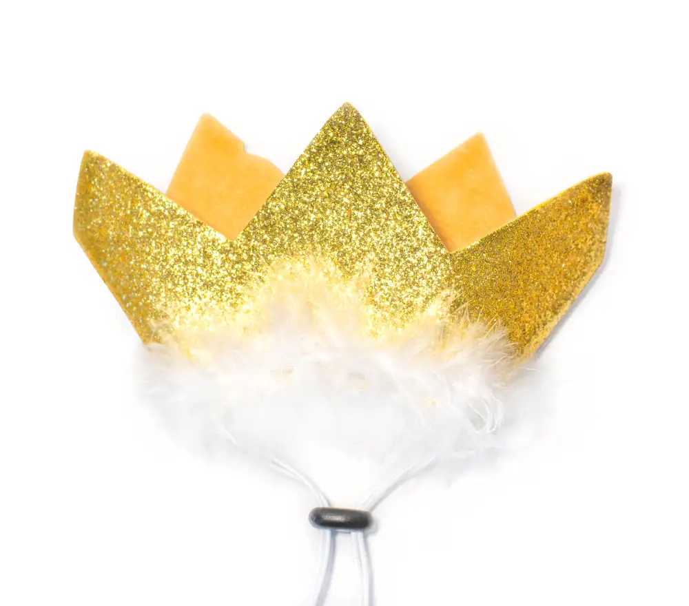 Playful Pet Party Crown
