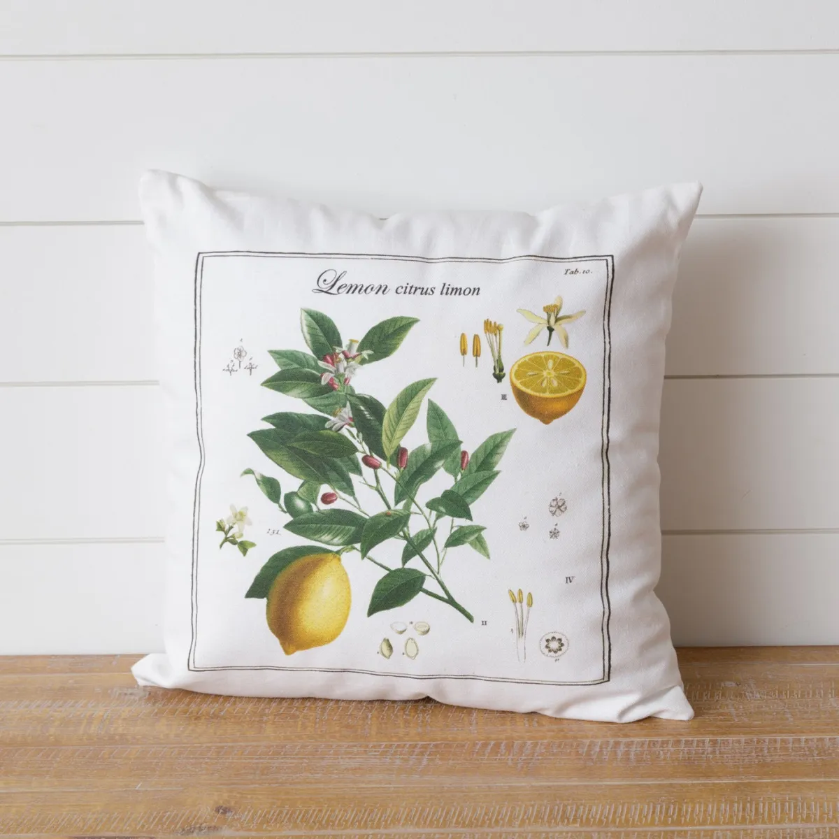 Classic Botanical Decorative Accent Pillow
