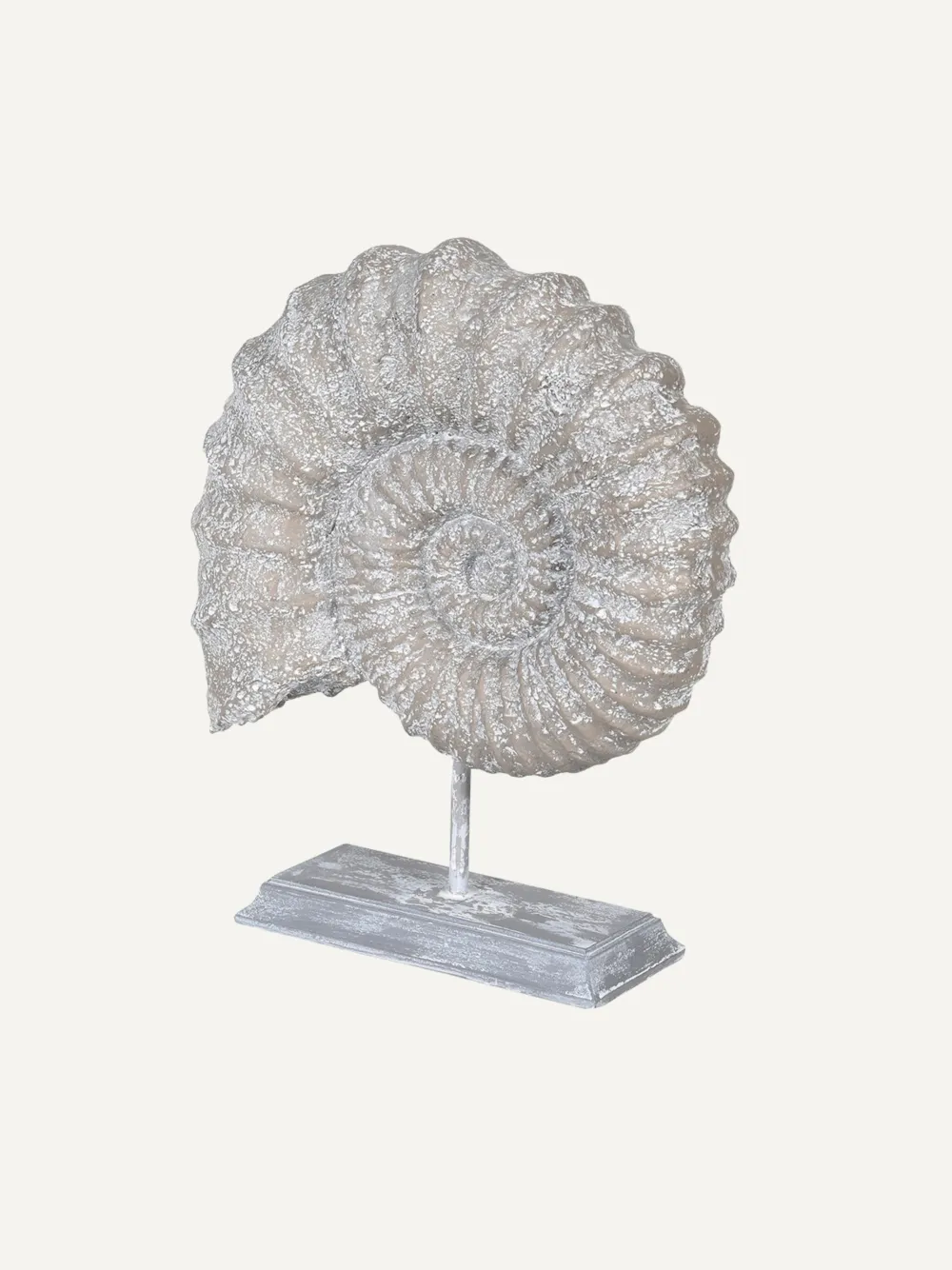 Faux Ammonite Fossil On Stand