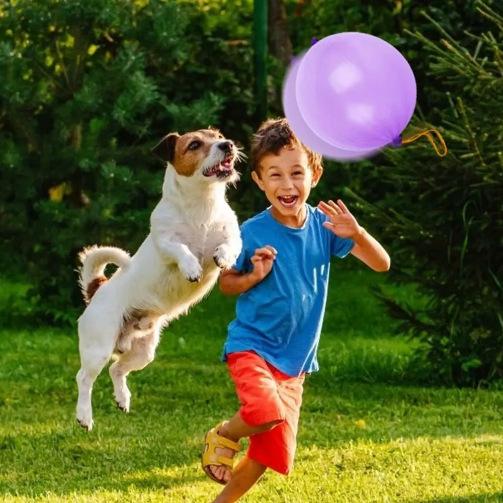 Colorful Balloon Toys for Interactive Play