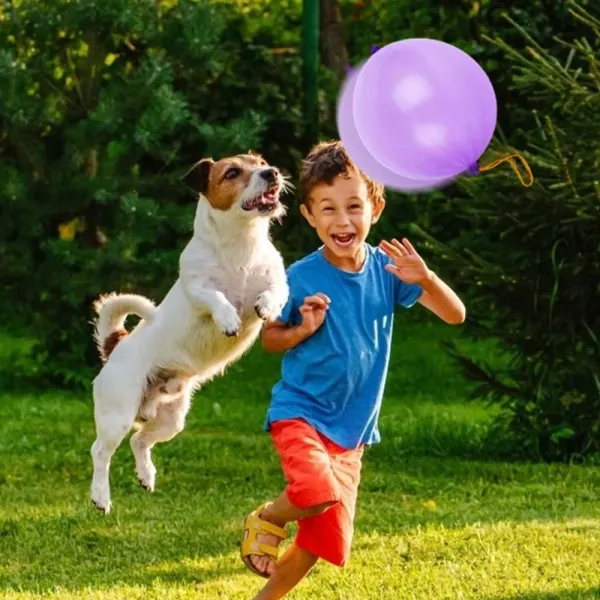 Colorful Balloon Toys for Interactive Play