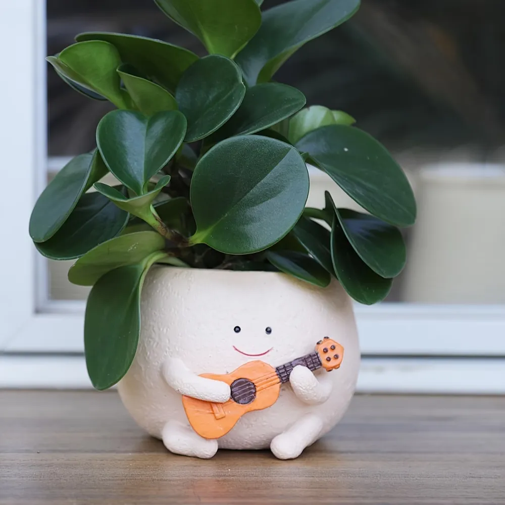 Cute Character Plant Pot
