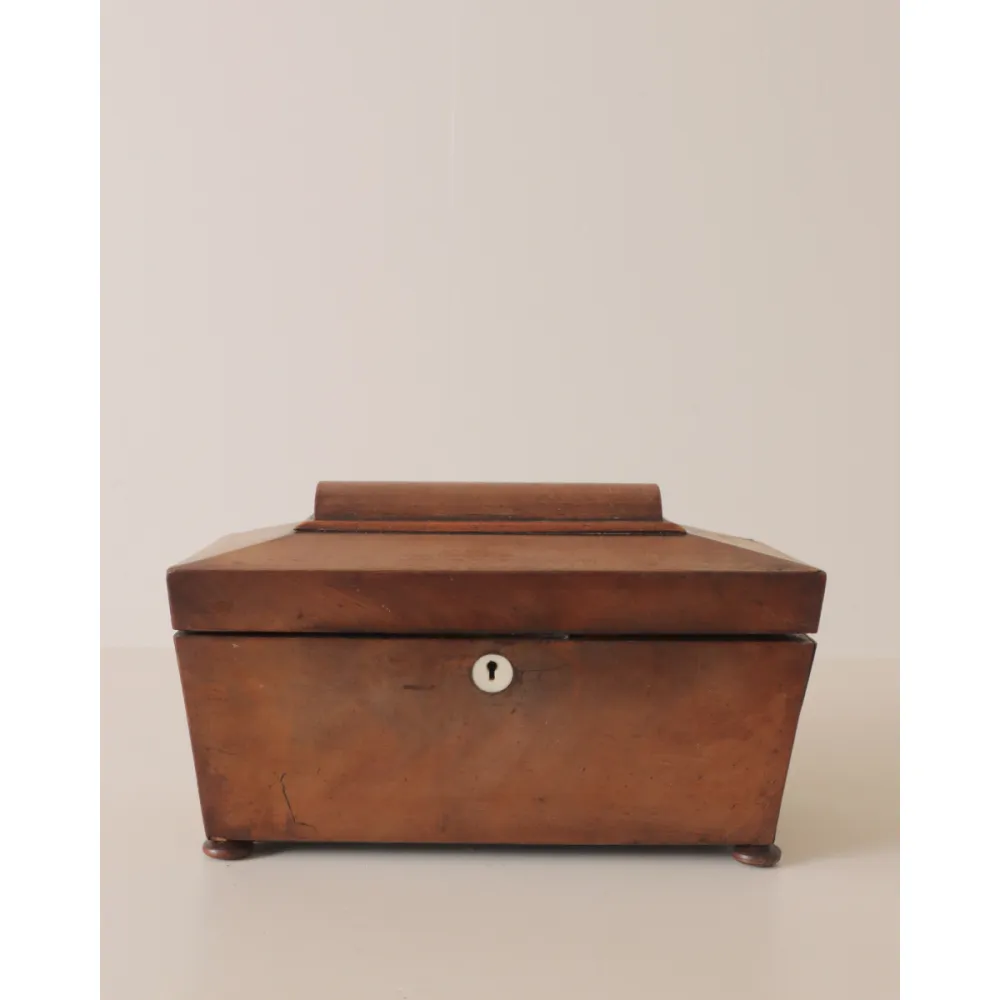 Refined Sarcophagus Tea Caddy Box