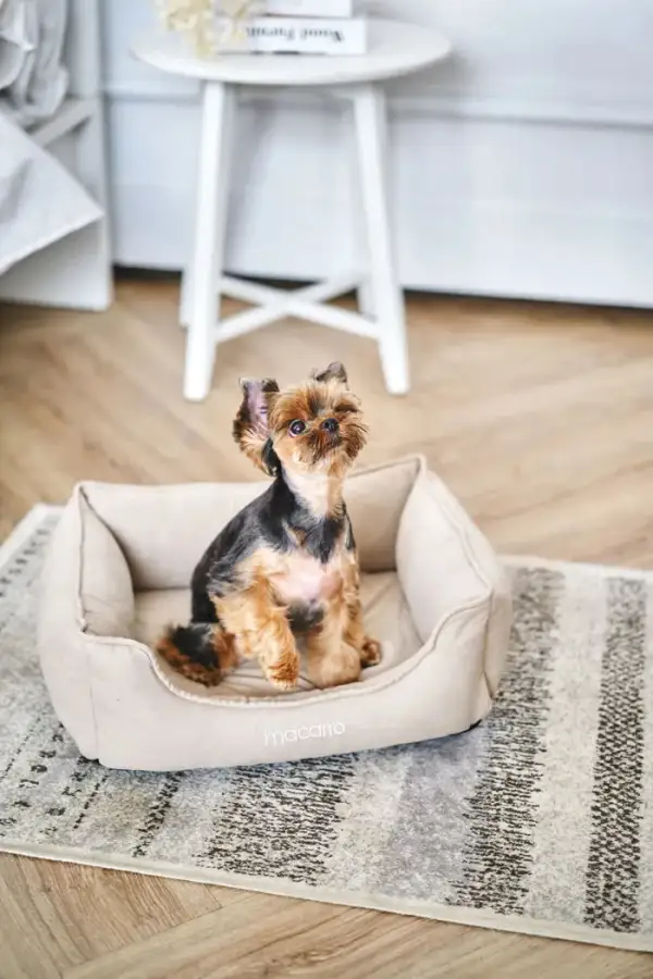 Soft Touch Pet Resting Bed