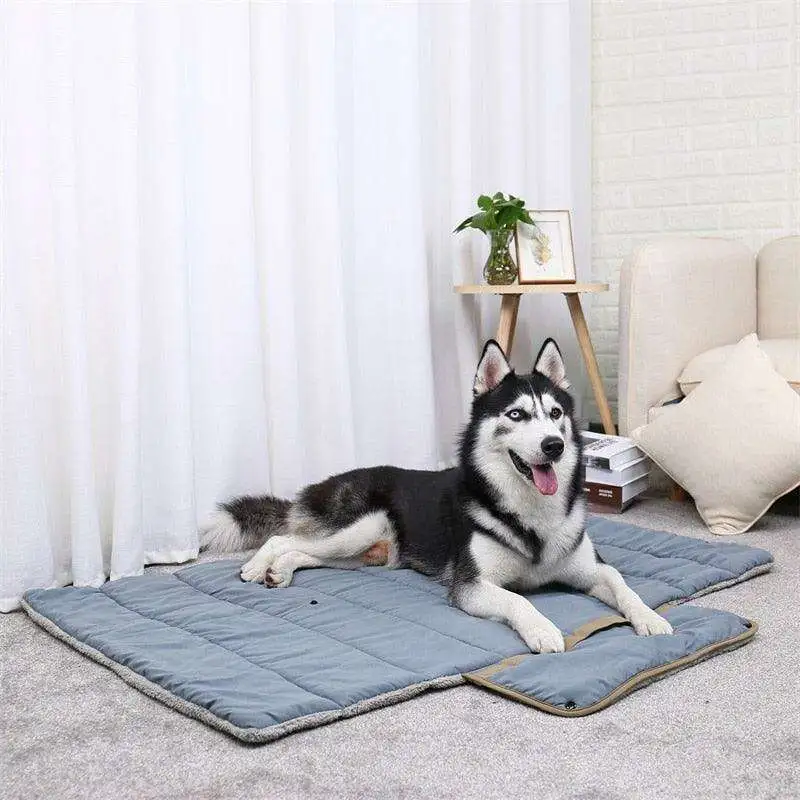 Travel Ready Pet Bed