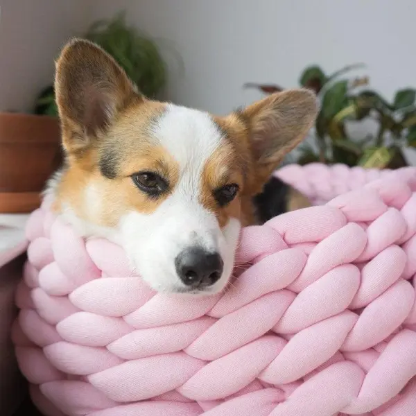 Luxurious Hand Pet Bed