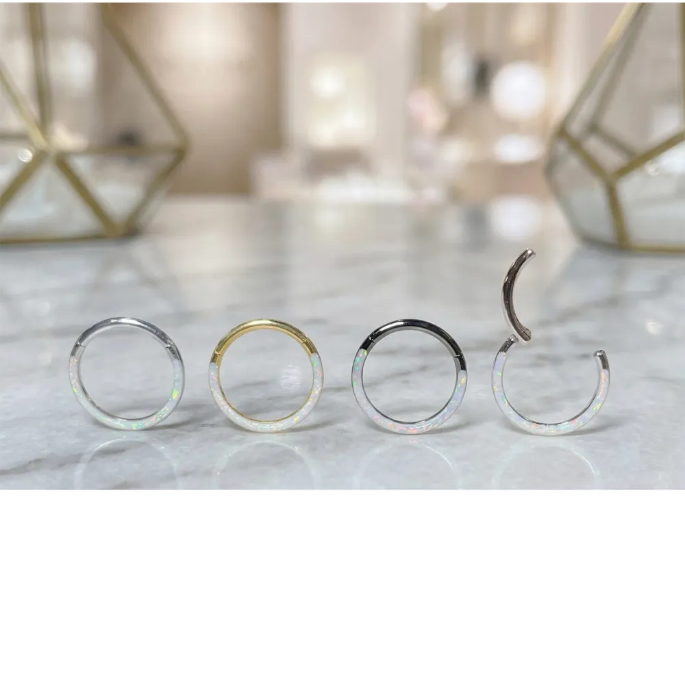 Contemporary Surgical-Steel Hinged Hoop Ring