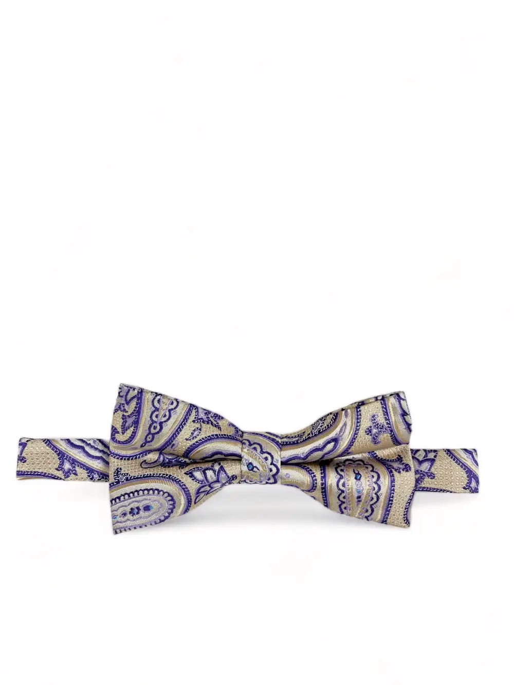 Dapper Dressy Paisley Polyester Bow Tie