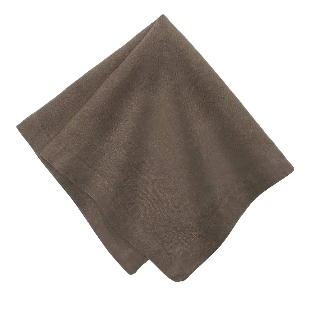 Lively Prewashed Linen Napkin Set