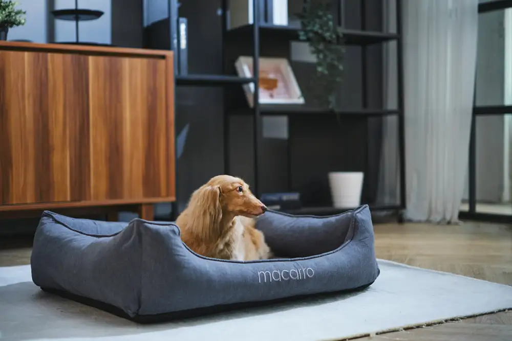Soft Touch Pet Resting Bed